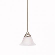 Kichler 3476NI - Mini Pendant 1Lt