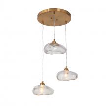 LNC Home HA05078P3 - Ranunculus 3-Light Chandelier