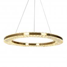 LNC Home HA05116G - Macrobotrys 1-Light LED Chandelier