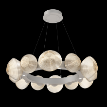 Hammerton CHB0089-36-BS-A-CA1-L1 - Mesa Radial Ring Chandelier