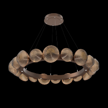 Hammerton CHB0089-48-BB-B-CA1-L1 - Mesa Radial Ring - 48-Inch