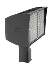 RAB Lighting PIPXL100SF/D10/PFS - PIP XL FLOODLIGHT 100W COOL