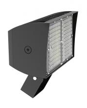 RAB Lighting PIPXL100TN/D10/PFS - PIP XL FLOODLIGHT 100W NEUTRAL