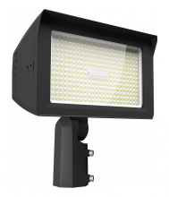 RAB Lighting X22-150 - X22 FLOOD 150/125/100/75W 7HX6V/6HX6V/5HX5V 3000/4000/5000K SLIPFITTER + TRUNNION  PHOTOCELL BRONZ