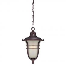 Acclaim Lighting 3666ABZ - Montclair 1-Light Architectural Bronze Hanging Light