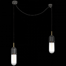 Visual Comfort & Co. Signature Collection TOB 5645BZ/HAB-CG-2 - Junio 2-Light Chandelier