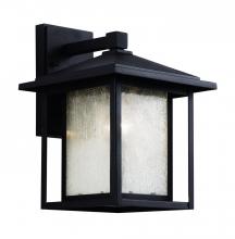 Trans Globe 40361 BK - 1LT WALL LANTERN-MD-SEEDED-BK