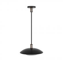 Arteriors Home DSI03 - Tobias Pendant