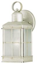 Westinghouse 6961000 - 1 Light Wall Lantern Pewter Patina Finish with Ice Glass