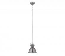 Capital 4431AN - 1 Light Pendant