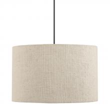 Capital 4548DB-577 - 1 Light Pendant