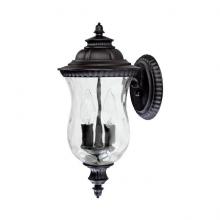 Capital 9781BK - 2 Light Outdoor Wall Lantern