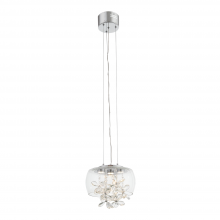 ZEEV Lighting MP40027-LED-CH - LED 11" Clear Glass Dome Shade Mini Pendant