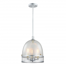 ZEEV Lighting P30035-3-MSL - 3-Light 11" Boutique Dome Pendant Light