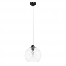 Hunter 19513 - Hunter Xidane Matte Black with Clear Glass 1 Light Pendant Ceiling Light Fixture