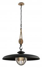 Troy F4907-FOR - Murphy Pendant