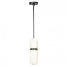 Regina Andrew 16-1386ORB - Regina Andrew Salon Pendant (Oil Rubbed Bronze)