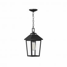 Lighting One US V1-28202MB - Medium Hanging Lantern