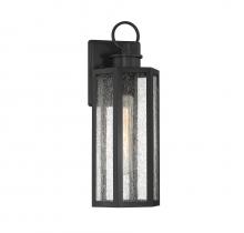 Lighting One US L5-5101-BK - Hawthorne 1-Light Outdoor Wall Lantern in Black