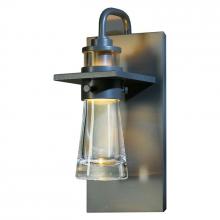 Hubbardton Forge 207720-SKT-10-ZM0343 - Erlenmeyer ADA Sconce