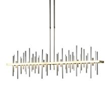 Hubbardton Forge 139726-LED-LONG-86-82 - Cityscape Large LED Pendant