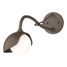 Hubbardton Forge 201376-SKT-05-05-GG0711 - Brooklyn 1-Light Single Shade Long-Arm Sconce