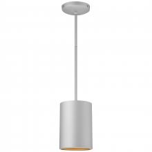 Access 29006-SAT - Pendant