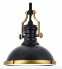 Elegant LD5001D13BRB - Eamon 1 Light matte black Pendant