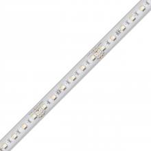 Diode Led DI-24V-RGBW4-W016 - STRIP/TAPE LIGHT