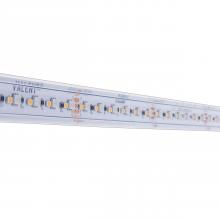 Diode Led DI-24V-VL-RGBW-W016 - STRIP/TAPE LIGHT