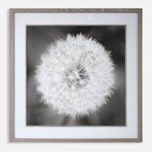 Uttermost 33711 - Dandelion Seedhead Framed Print