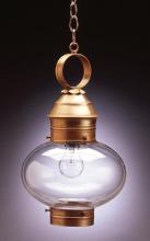 Northeast Lantern 2042-VG-MED-CLR - Onion Hanging No Cage Verdi Gris Medium Base Socket Clear Glass