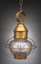 Northeast Lantern 2532-AB-MED-OPT - Caged Onion Hanging Antique Brass Medium Base Socket Optic Glass