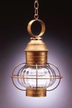 Northeast Lantern 2532-VG-MED-OPT - Caged Onion Hanging Verdi Gris Medium Base Socket Optic Glass