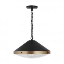 Austin Allen & Co. 9D315A - 1-Light Metal Pendant with Glass Diffuser