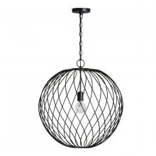 Austin Allen & Co. 9D349A - 1-Light Pendant